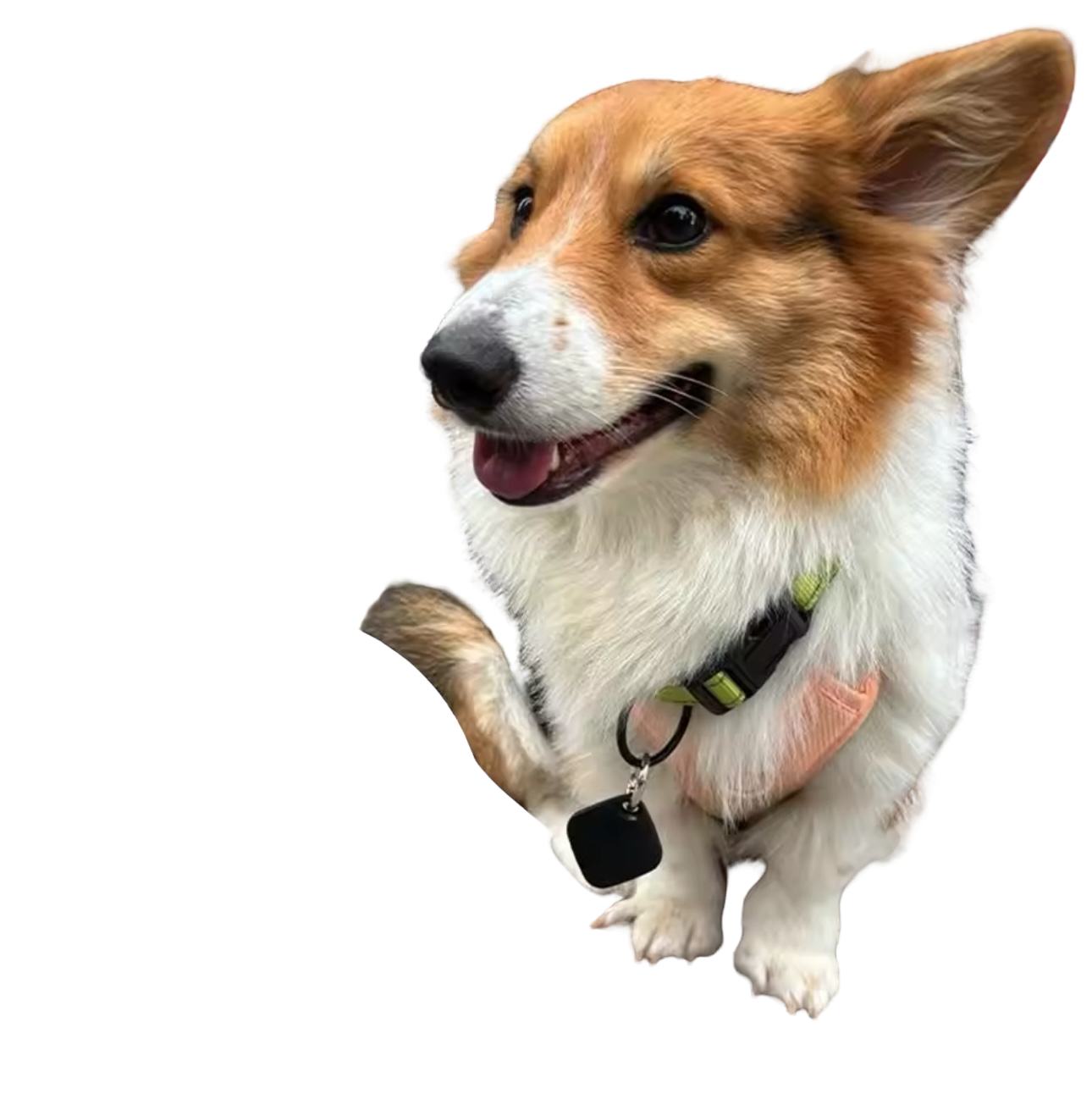Smart Tag GPS Tracker Key Pet Finder Works with Apple Find My App (IOS ONLY)