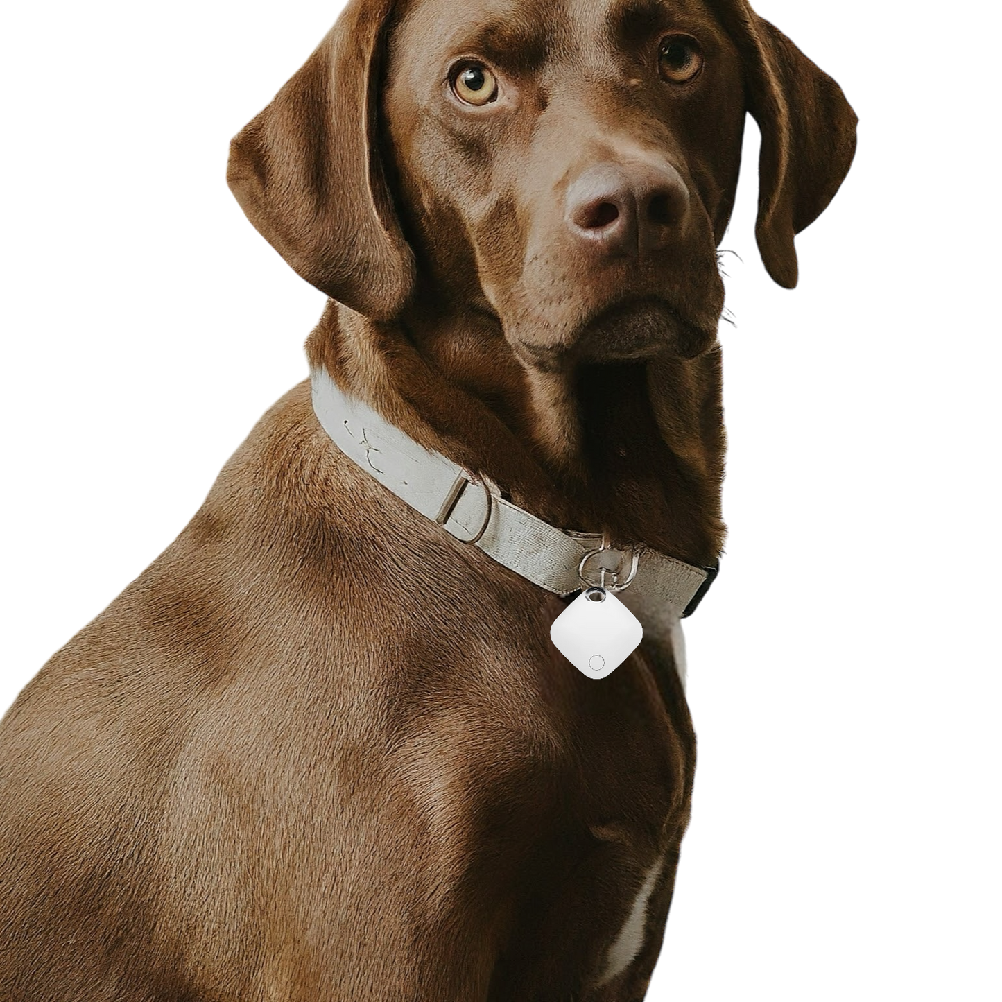 Smart Tag GPS Tracker Key Pet Finder Works with Apple Find My App (IOS ONLY)