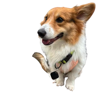 Smart Tag GPS Tracker Key Pet Finder Works with Apple Find My App (IOS ONLY)
